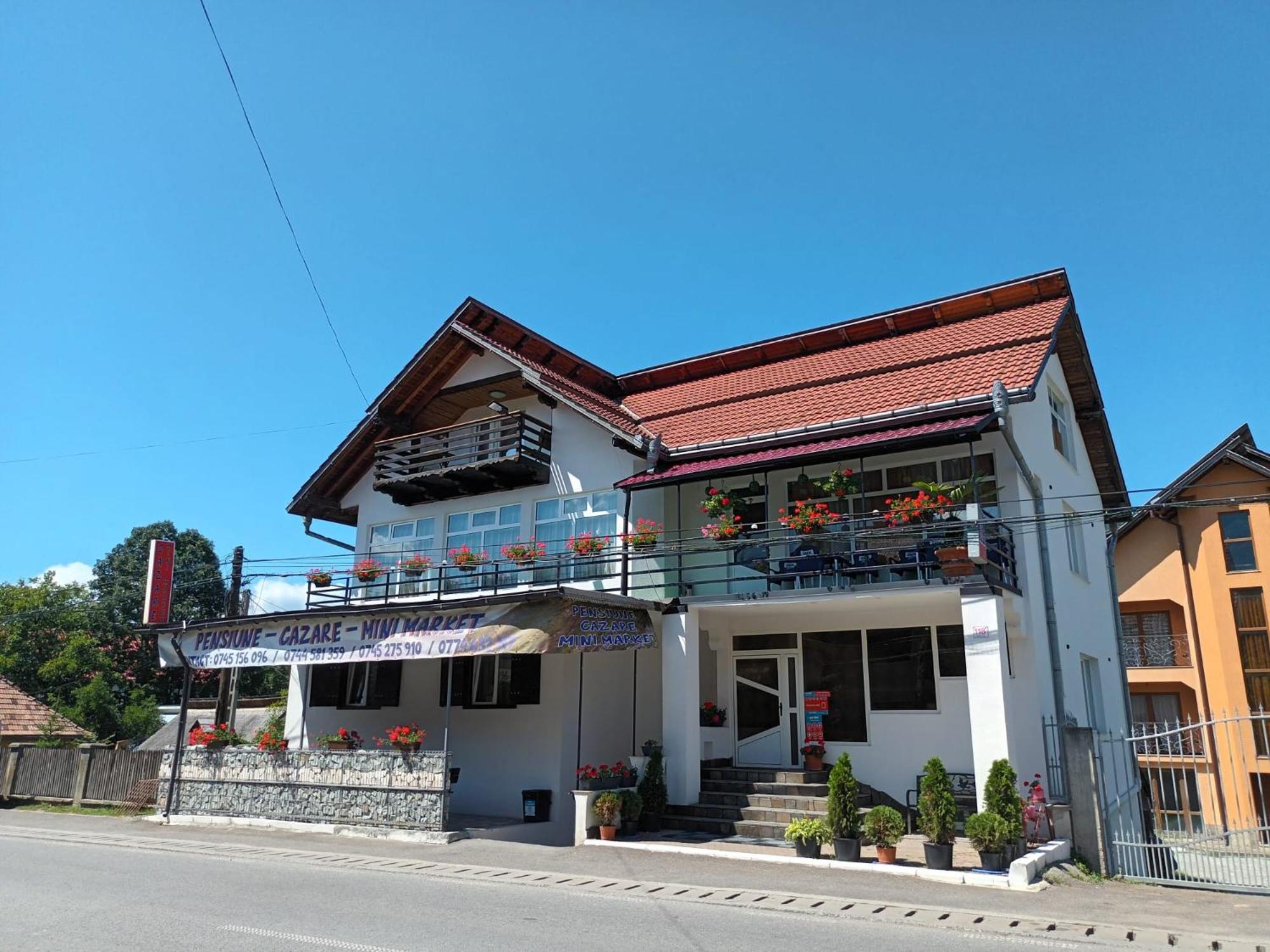 Pensiunea Rominvest Borsa  Exterior photo